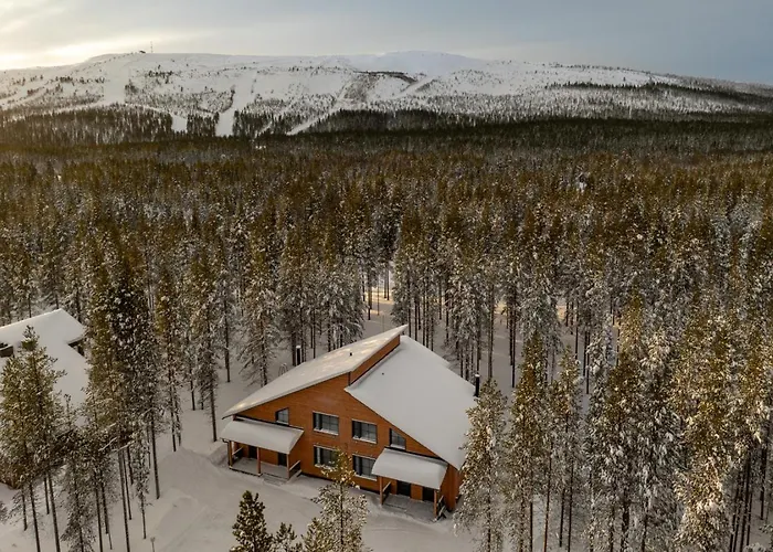 In Lapland - Snowlife A